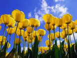 Frohe Ostern!